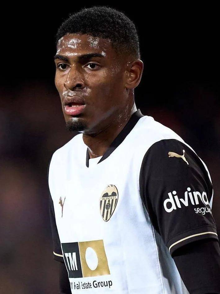 外部闯入盗 外部闯入盗