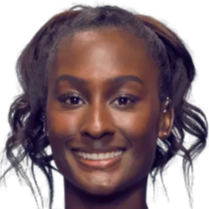 的粉丝资产 的粉丝资产